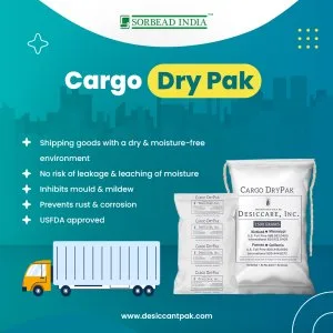 Shipping container desiccant cargo dry pack