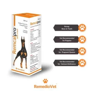 Canine care essentials: calcium syrup for dogs