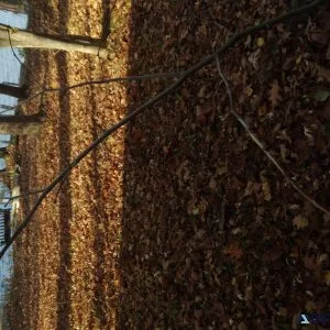Beautiful waterfront land 4sale