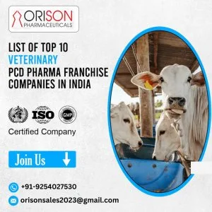 Top 10 veterinary pcd companies in india