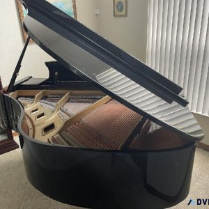 Baby Grand Piano