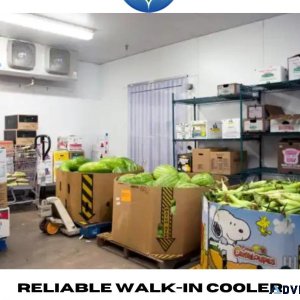 Reliable Walk-In Cooler Maintenance Services in Your Area