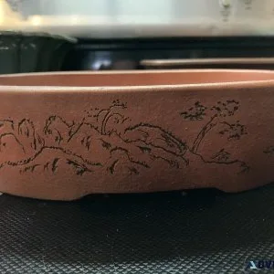 Many bonsai pots