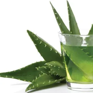 Top 10 home remedies for acidity | gasofast