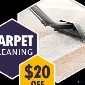 Kingwood Carpet Clean