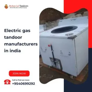 Electric gas tandoor manufacturers in india
