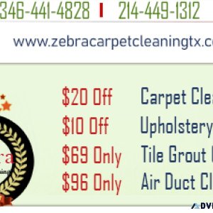 Zebra Carpet Cleaning League City TX