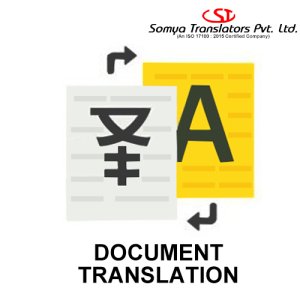 Professional document translation services in pune