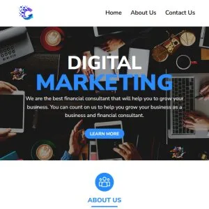 Digital marketing company in punjab