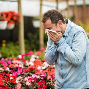 Natural remedy for respiratory allergy