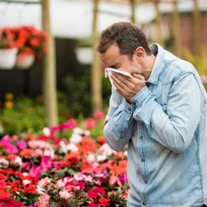 Natural remedy for respiratory allergy