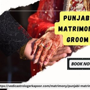 Book best punjabi matrimony groom