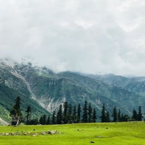 Best places to visit in srinagar