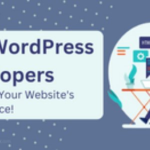 Hire wordpress developers to elevate your website s performance