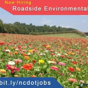 Engineer - Entry Level - Roadside Environmental