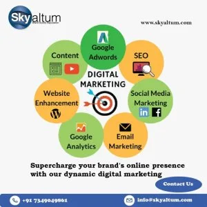 Skyaltum, the roi-driven digital marketing agency in bangalore