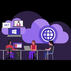 Hire dot net developers in 2024