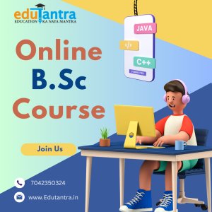 Can i pursue an online bsc course while working full-time?