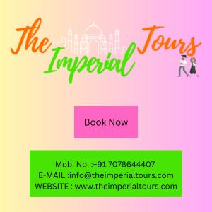 Best day tour packages of india in 2024 by the imperial tour
