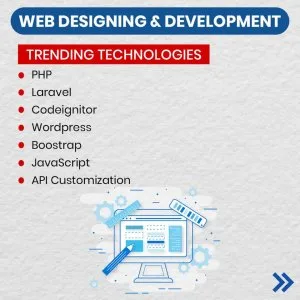 Web development service in nagpur