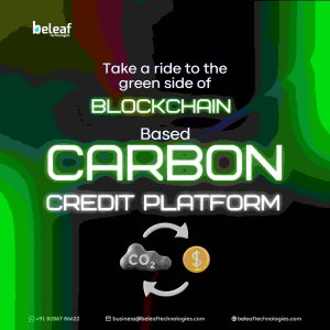 Blockchain carbon credit platform development