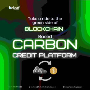 Blockchain carbon credit platform development