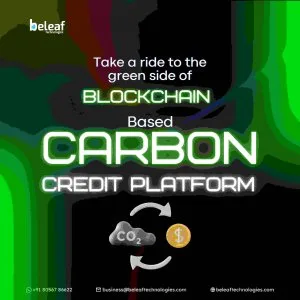 Blockchain carbon credit platform development
