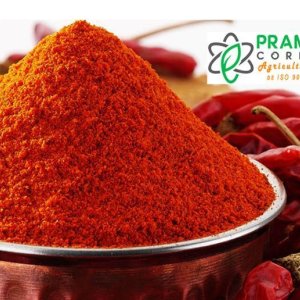 Best indian fresh red chilli suppliers in india