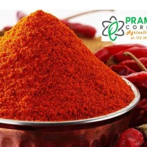 Best indian fresh red chilli suppliers in india