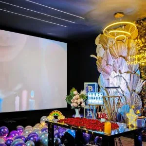 Private theater in hyderabad for celebrations - the binge town