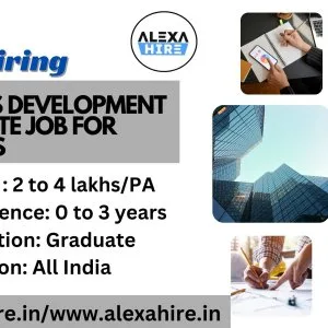 Business development associate job