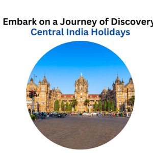 Embark on a journey of discovery: central india holidays