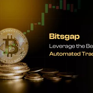 Bitsgap trading bot development | wealwin