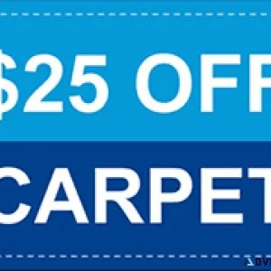 Dallas TX Carpet Cleaning