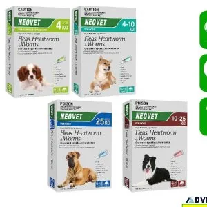 Does your Dogs encountered with Fleas Heartworms and Worm