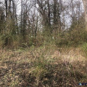 Land For Sale in Beautiful Cherokee Village AR