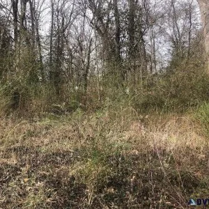 Land For Sale in Beautiful Cherokee Village AR