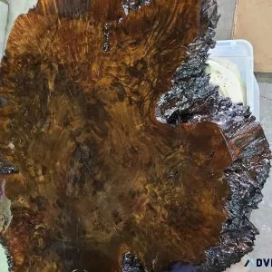 Beautiful Live Edge Black Walnut Round 38&quot coffee Table