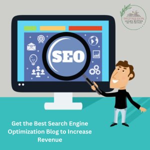 Get the best seo blog to increase revenue with digitalesson