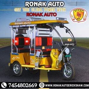 Are find top e rickshaw manufacturers in haryana