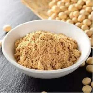 Malt extract powder manufacturer in india| kag industries 
