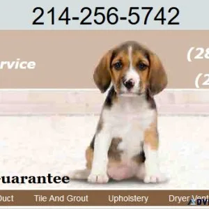 Carpet Cleaning baytown
