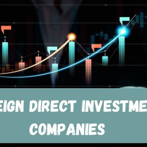 Foreign direct investment companies