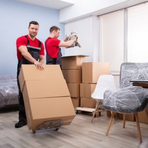 Movers and packers dilshad garden - state cargo packers & movers