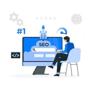 Seo services provider company / agency in india