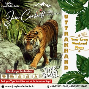 Corbett Fun Tour With 1 Jeep Safari