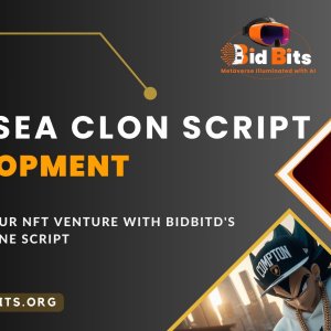 Bidbits opensea clone script