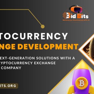 Bidbits - cryptocurrency exchange development