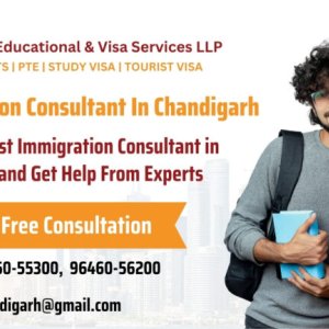 Immigration consultant in chandigarh