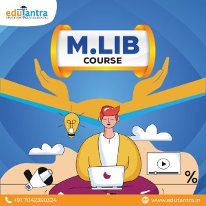 What types of jobs can i get with an mlib degree?